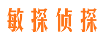 禄丰寻人公司